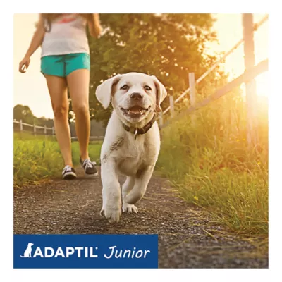 ADAPTIL Junior Calming Collar for Puppies