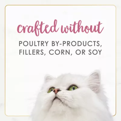 Product Fancy Feast® Gourmet Naturals Adult Cat Wet Food - 3 OZ