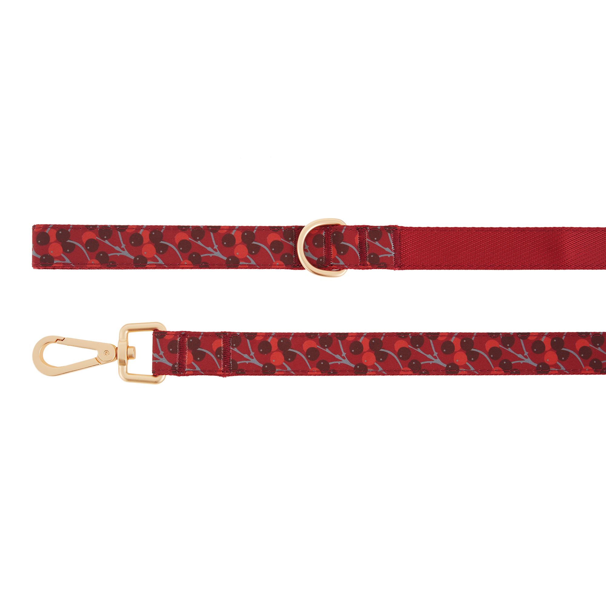 training leash petsmart