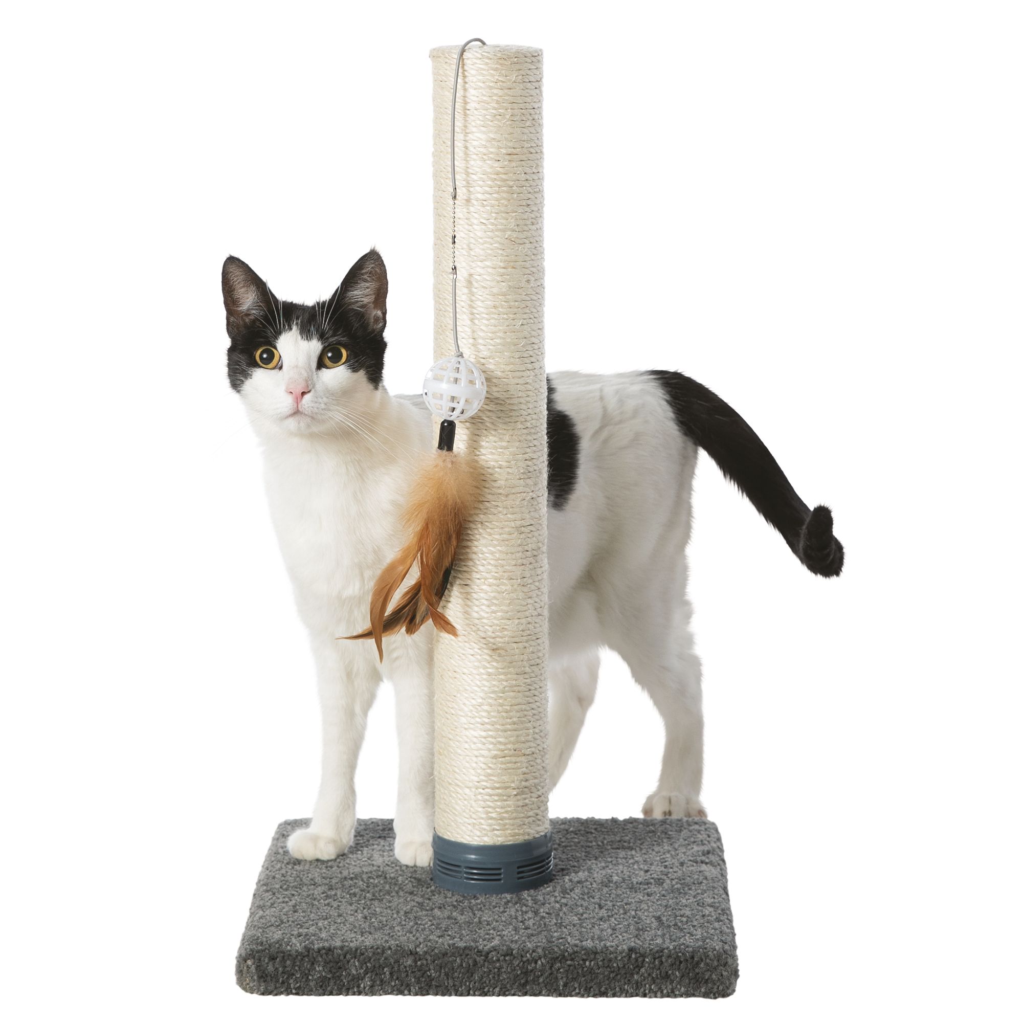 Whisker city shop cat toys