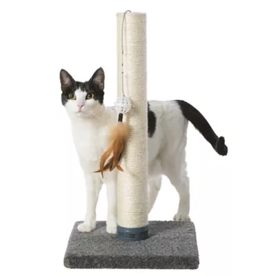 Whisker City Catnip Cat Scratching Post