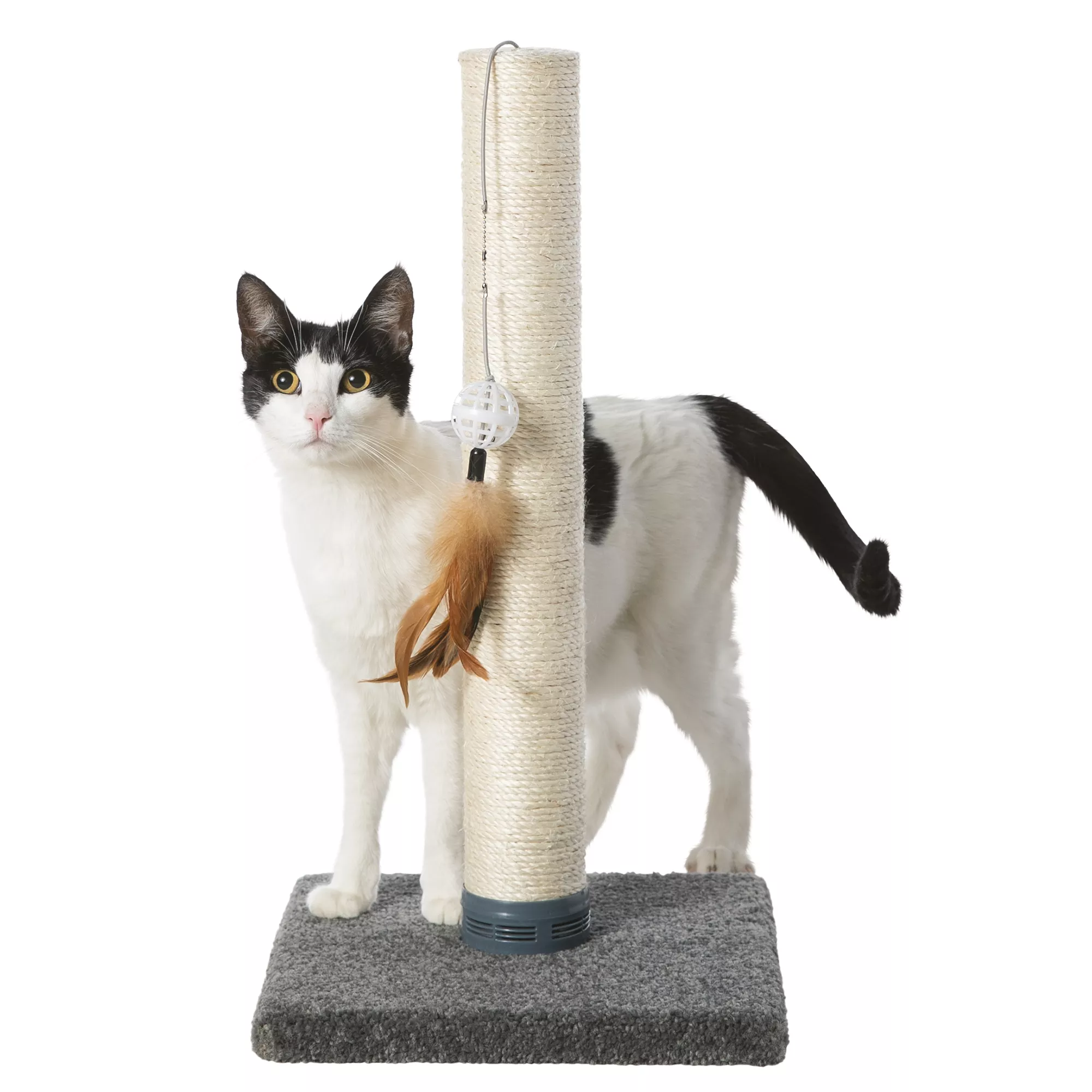 Whisker City® Catnip Cat Scratching Post