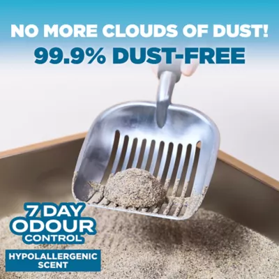Arm & Hammer Cloud Control Cat Litter - Clumping, Multi Cat - Image 2