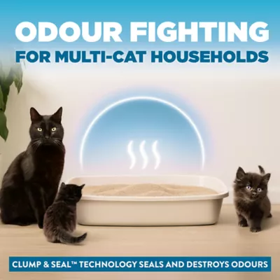 Arm & Hammer Cloud Control Cat Litter - Clumping, Multi Cat - Image 3