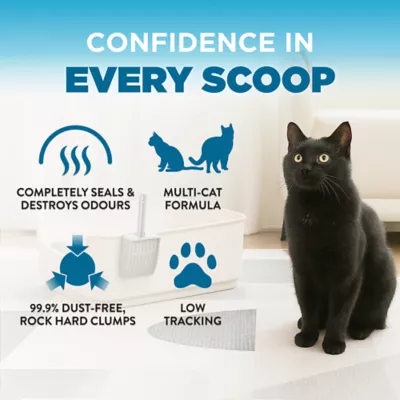 Arm & Hammer Cloud Control Cat Litter - Clumping, Multi Cat - Image 4