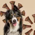 ROAM® El Grande Gnaw-Kle™ Dog Bone Treat - Cape Ostrich image thumbnail 5