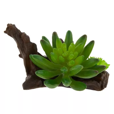 Product Top Fin® Aloe with Wood Aquarium Ornament