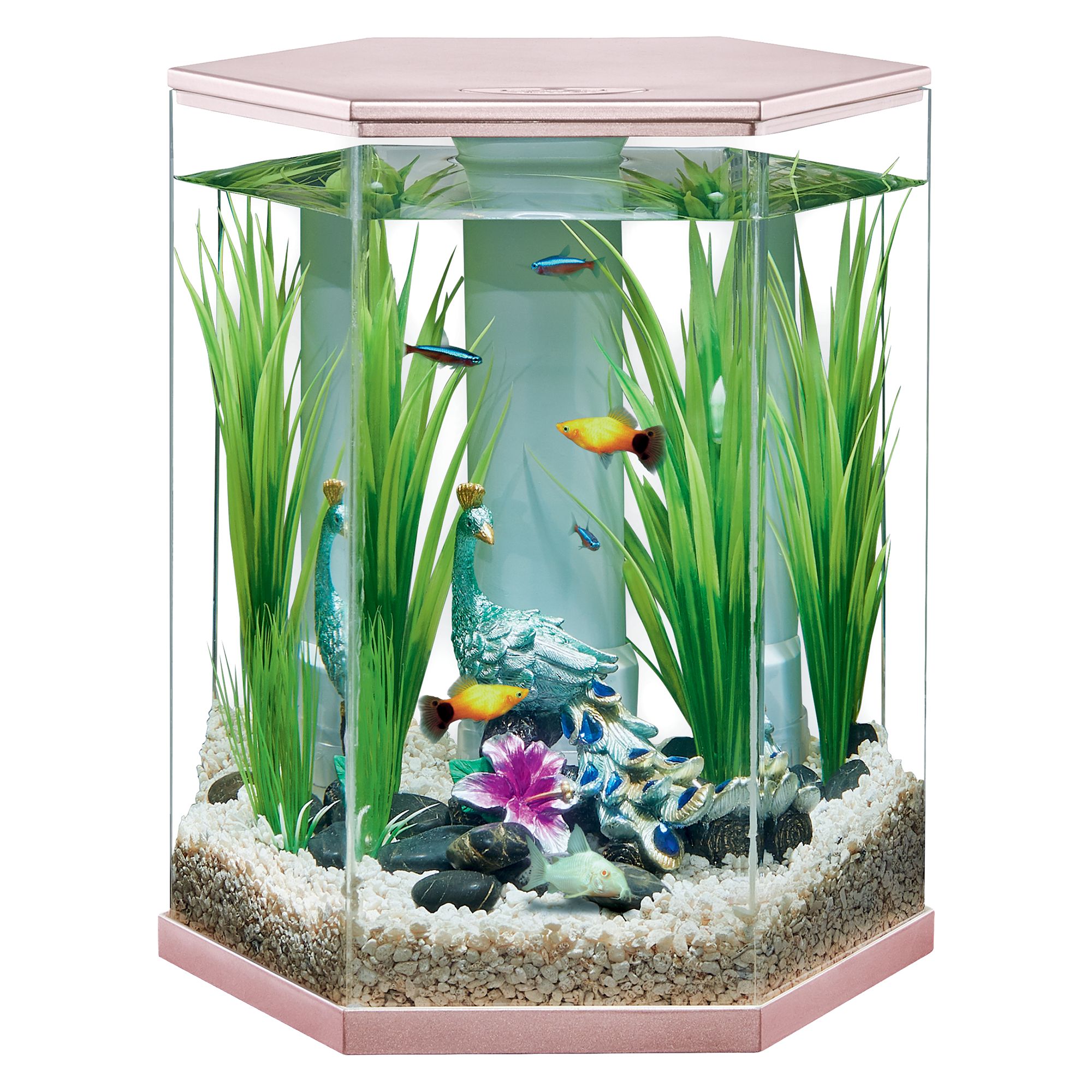 Top Fin® Rose Gold Style Aquarium - 3 Gallon | fish Aquariums | PetSmart