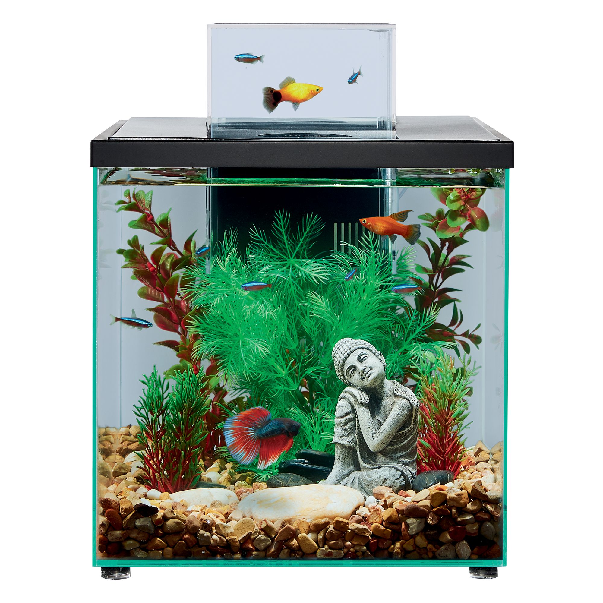 Top Fin® Escape Aquarium - 5 Gallon 
