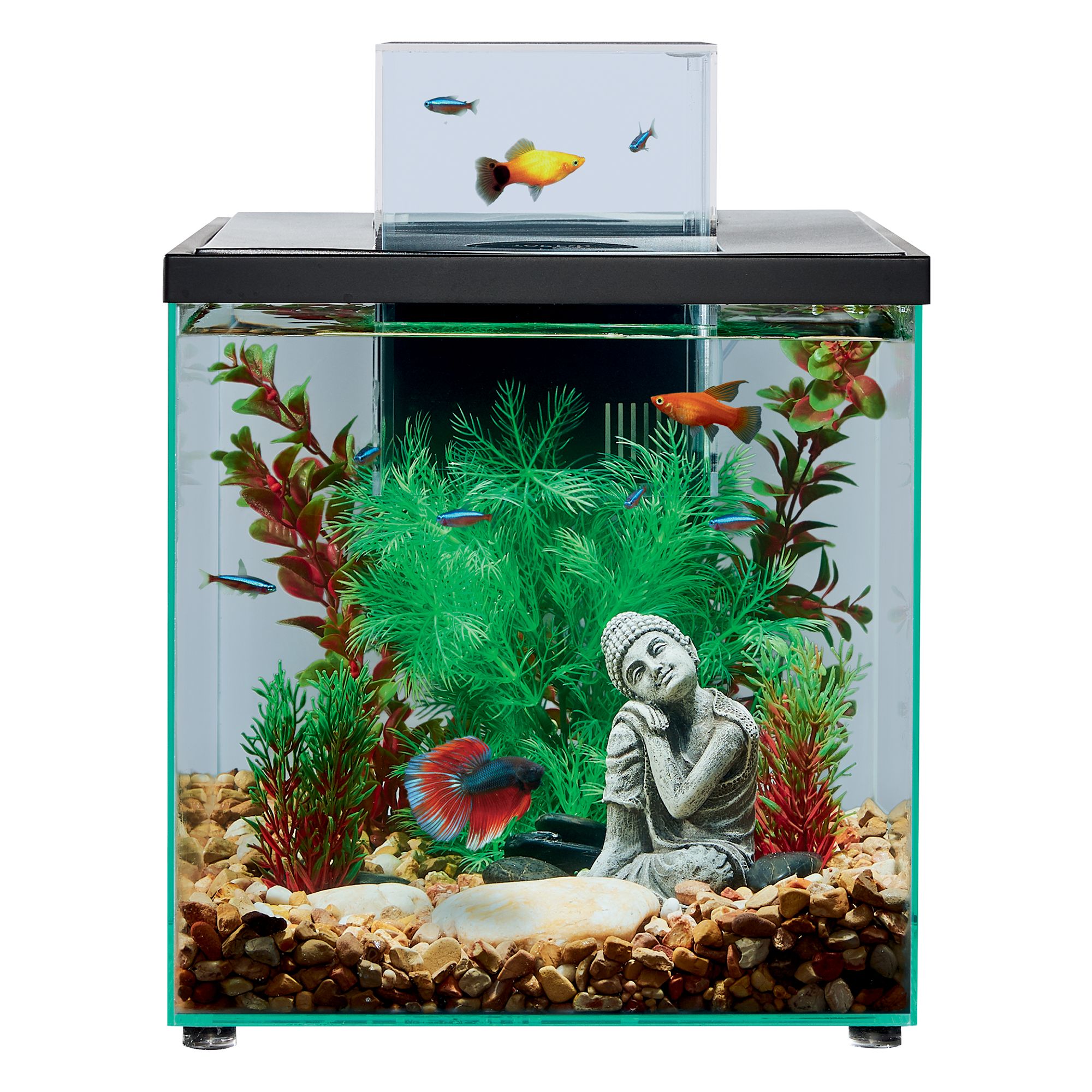 petsmart fish tank accessories