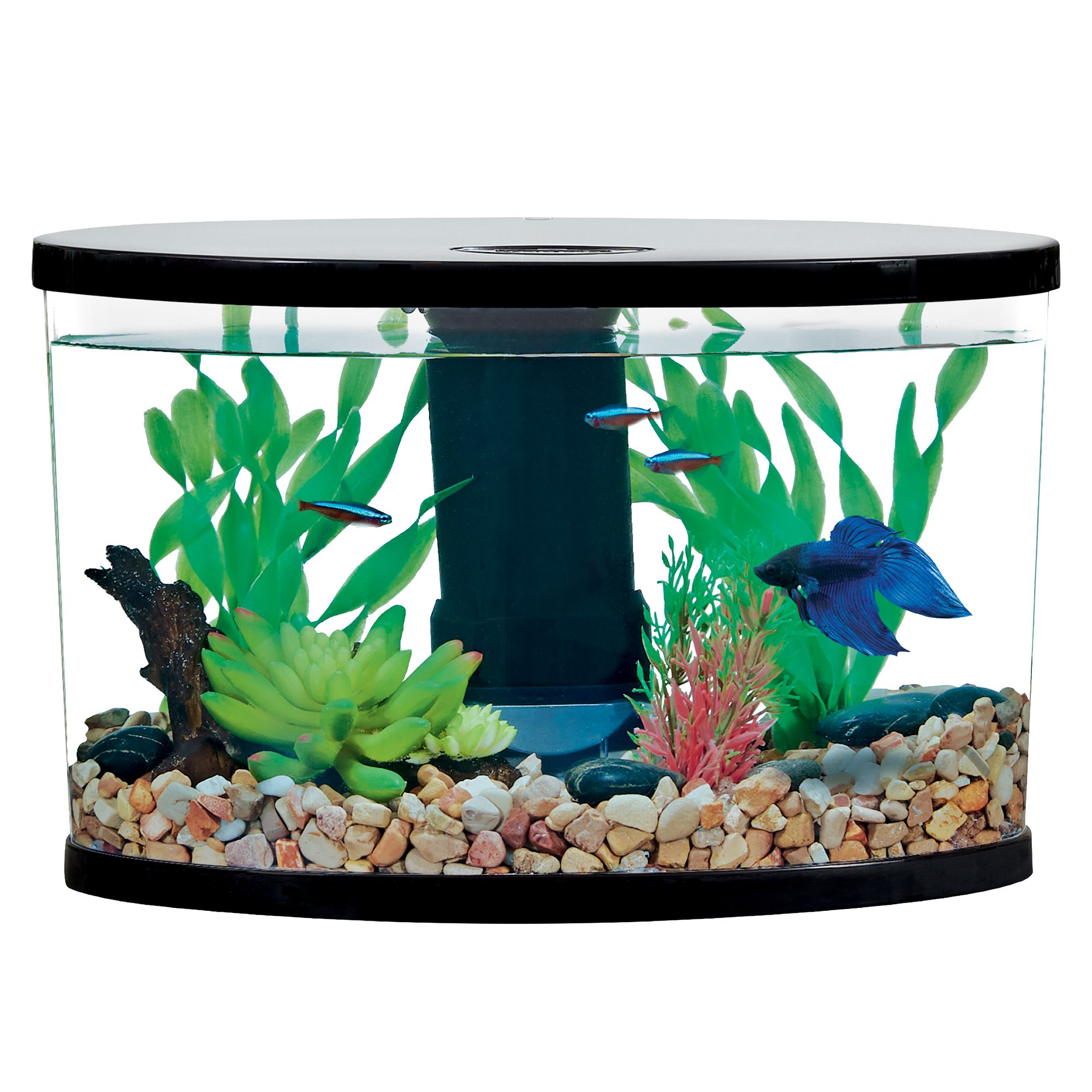 Top Fin 125 Gallons Aquarium Tank Review from Petsmart 