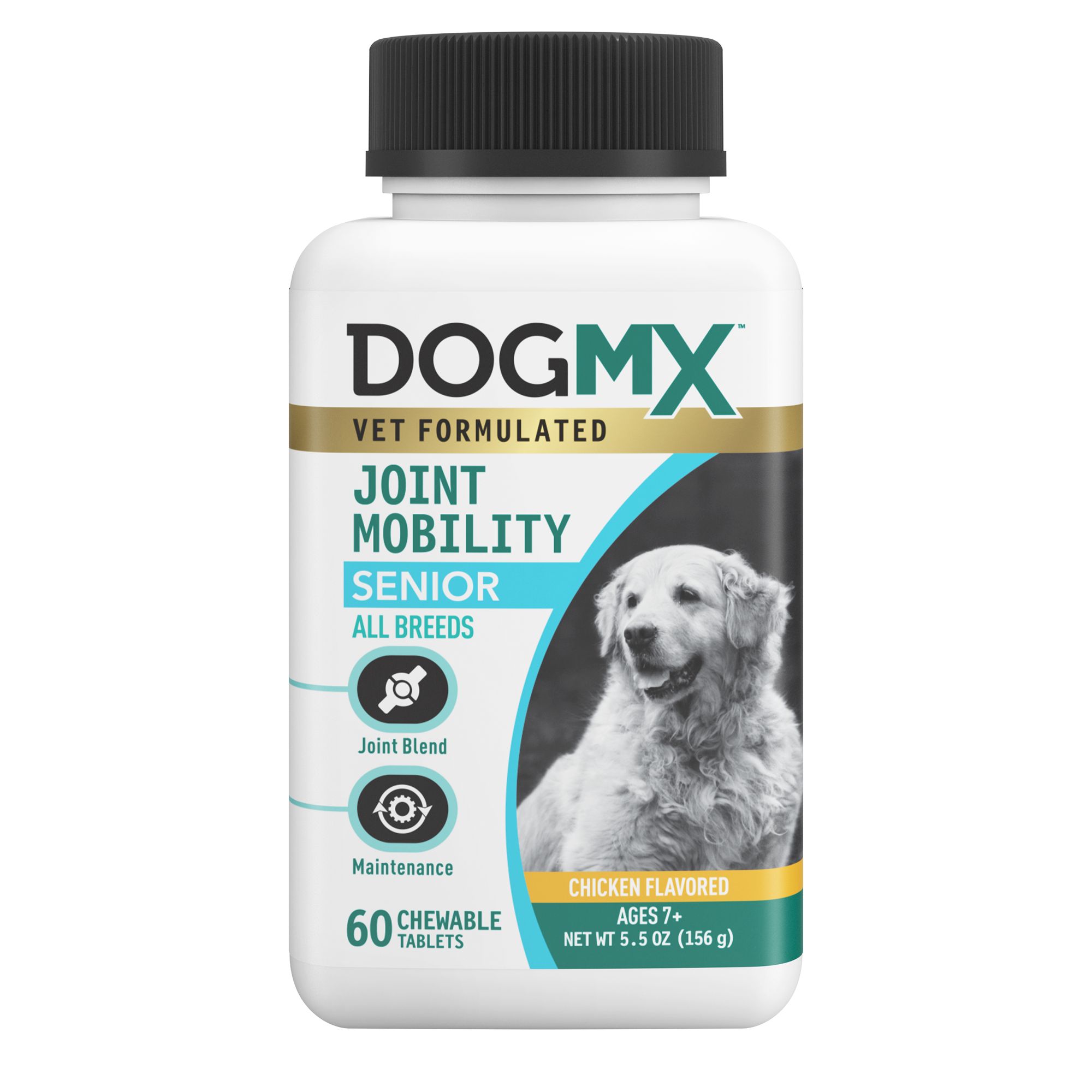 senior dog supplements