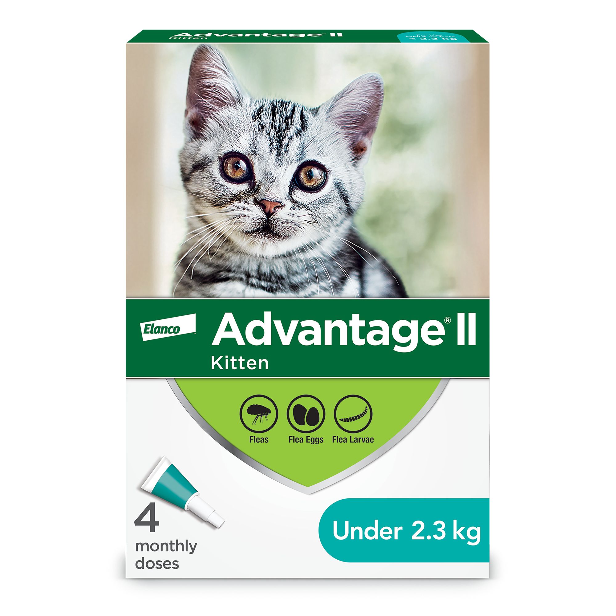 Kitten age for flea treatment hotsell