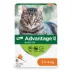 Advantage® II Small Cat Once-A-Month Topical Flea Treatment for Cats 2.3 to 4 kg image thumbnail 1