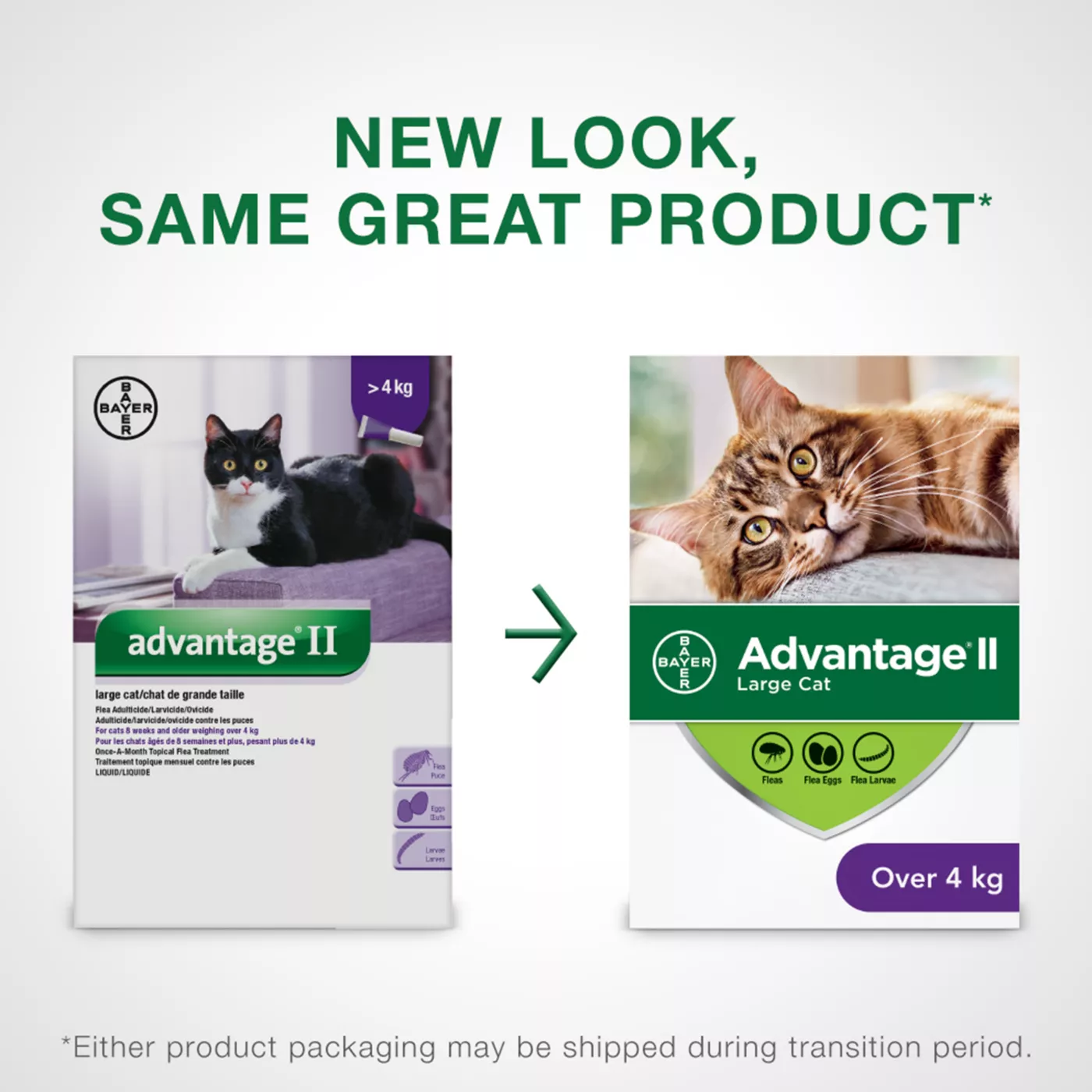 Advantage II Large Cat Once A Month Topical Flea Treatment Over 4 kg