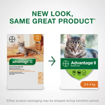Product Advantage® II Small Cat Once-A-Month Topical Flea Treatment - 2.3 to 4 kg