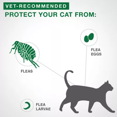 Product Advantage® II Small Cat Once-A-Month Topical Flea Treatment - 2.3 to 4 kg