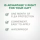Product Advantage® II Small Cat Once-A-Month Topical Flea Treatment - 2.3 to 4 kg