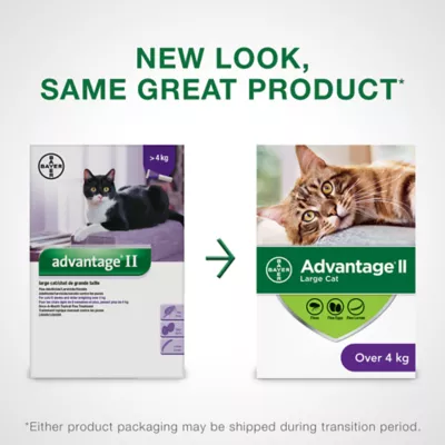 Product Advantage® II Large Cat Once-A-Month Topical Flea Treatment - Over 4 kg
