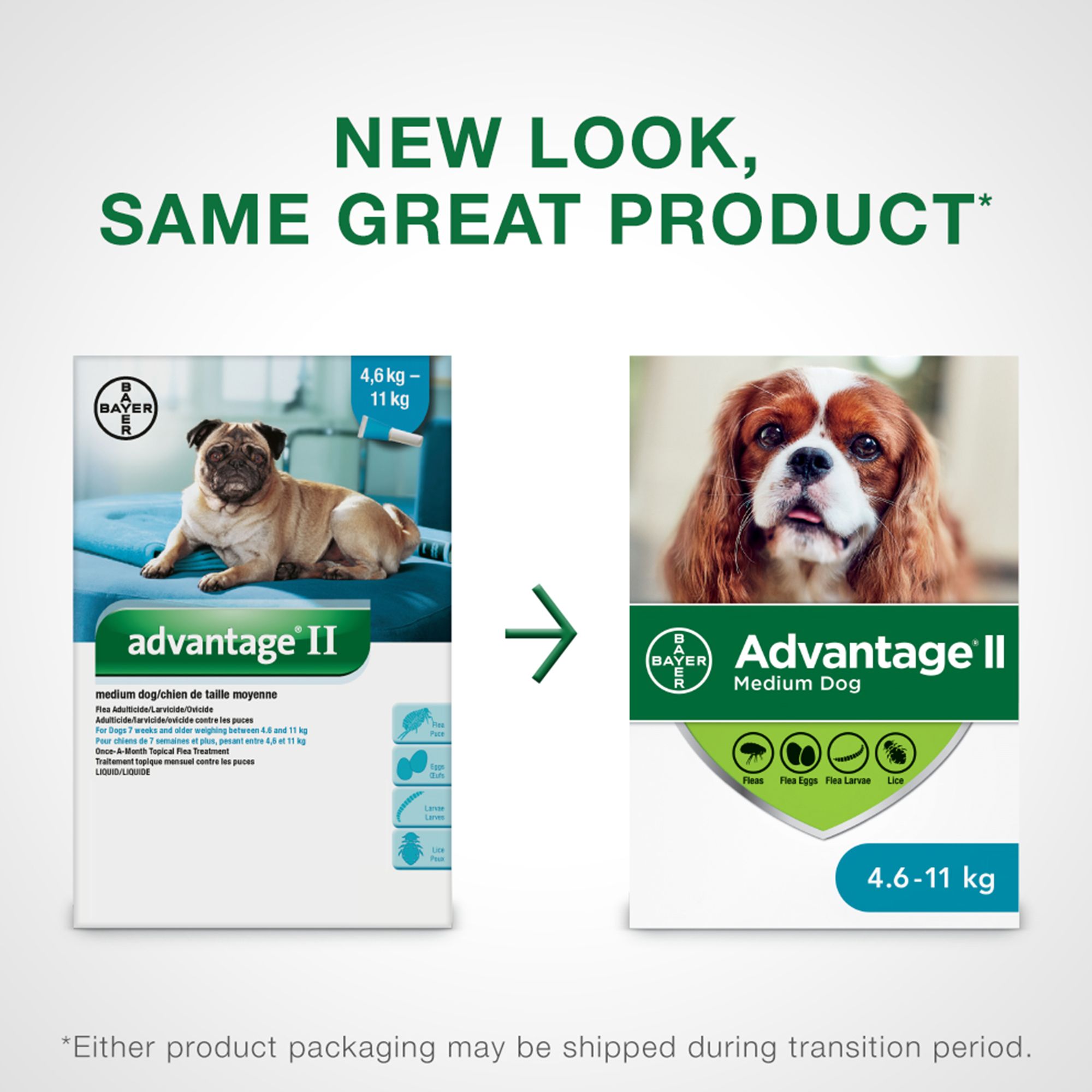 advantage ii medium dog