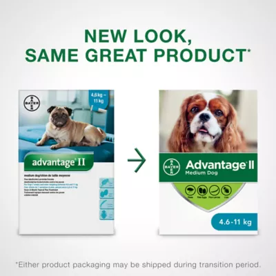 Product Advantage® II Medium Dog Once-A-Month Topical Flea Treatment - 4.6 to 11 kg