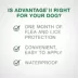 Advantage® II Once-A-Month Topical Flea Treatment for Dogs Under 4.5 kg image thumbnail 5