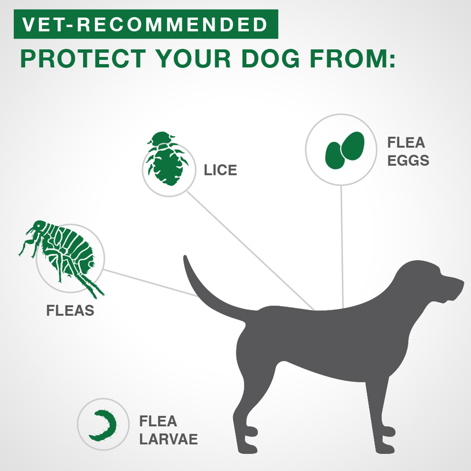 Advantage II Medium Dog Once A Month Topical Flea Treatment 4.6 to 11 kg