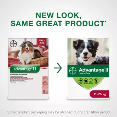 Product Advantage® II Large Dog Once-A-Month Topical Flea Treatment - 11 to 25 kg