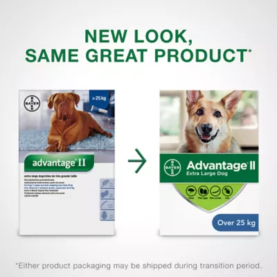 Product Advantage® II Extra Large Dog Once-A-Month Topical Flea Treatment - Over 25 kg