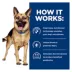 Hill's® Prescription Diet® Gastrointestinal Biome Digestive Fiber Adult Dog Food - Chicken image thumbnail 6