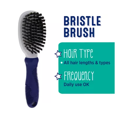 Whisker City Bristle Cat Brush