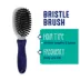 Whisker City® Bristle Cat Brush image thumbnail 2