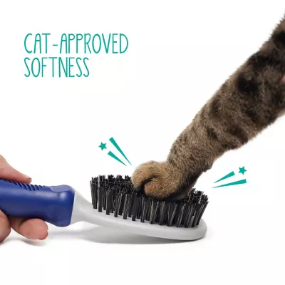 Product Whisker City® Bristle Cat Brush