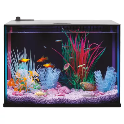 16x8 aquarium hood hotsell