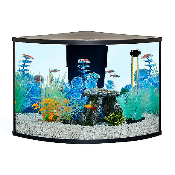 Top Fin Corner Tank Aquarium Starter, Lava Lamp Fish Tank Petsmart