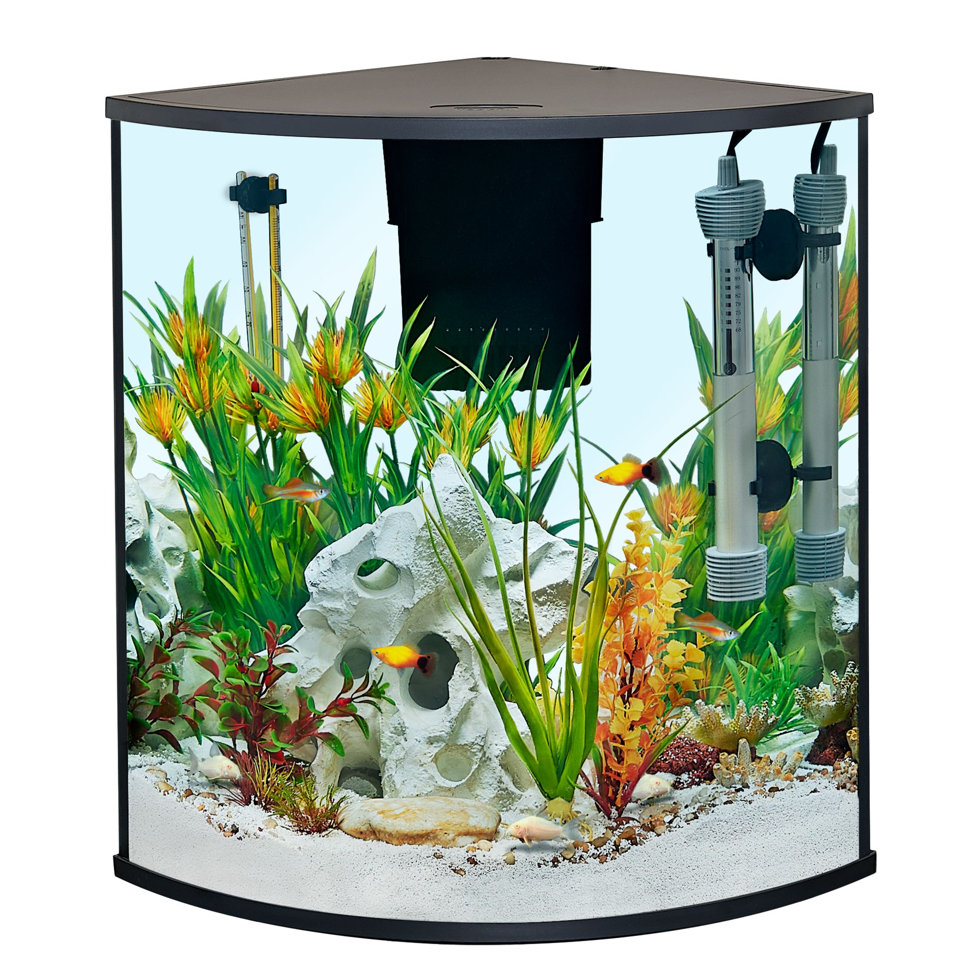 petsmart corner tank