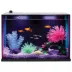Top Fin® Custom Colorflow™ Aquarium with 7 Color-Changing LEDs image thumbnail 1