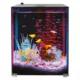 Product Top Fin® Custom Colorflow™ Aquarium with 7 Color-Changing LEDs
