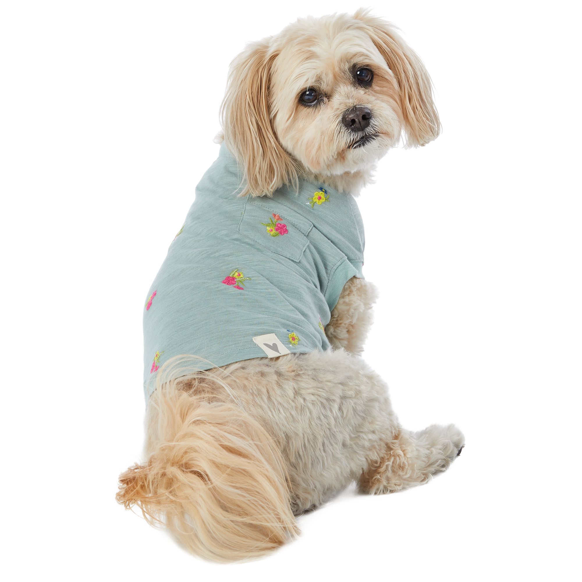 petsmart dog shirts