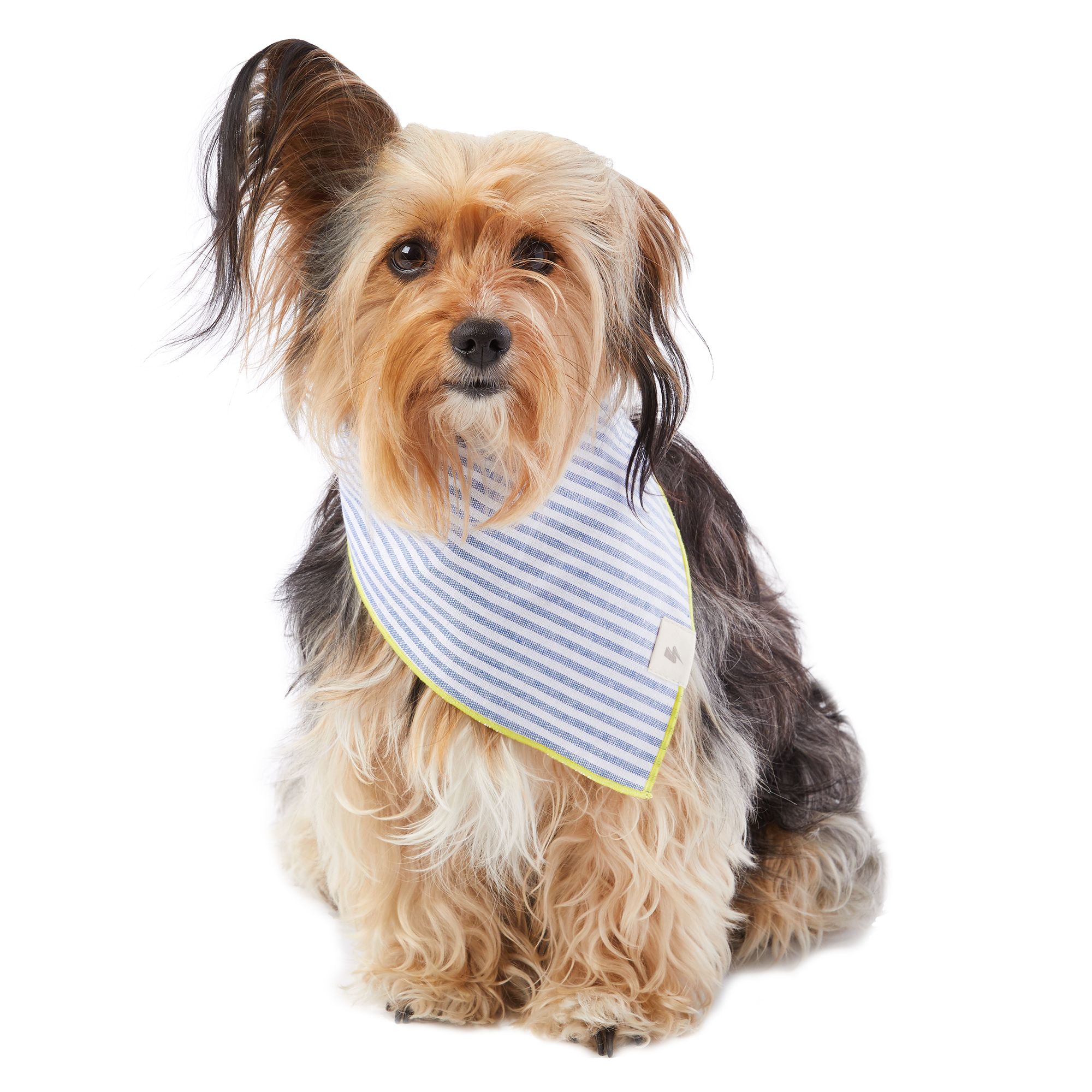 Top Paw® Striped Pet Bandana | dog 