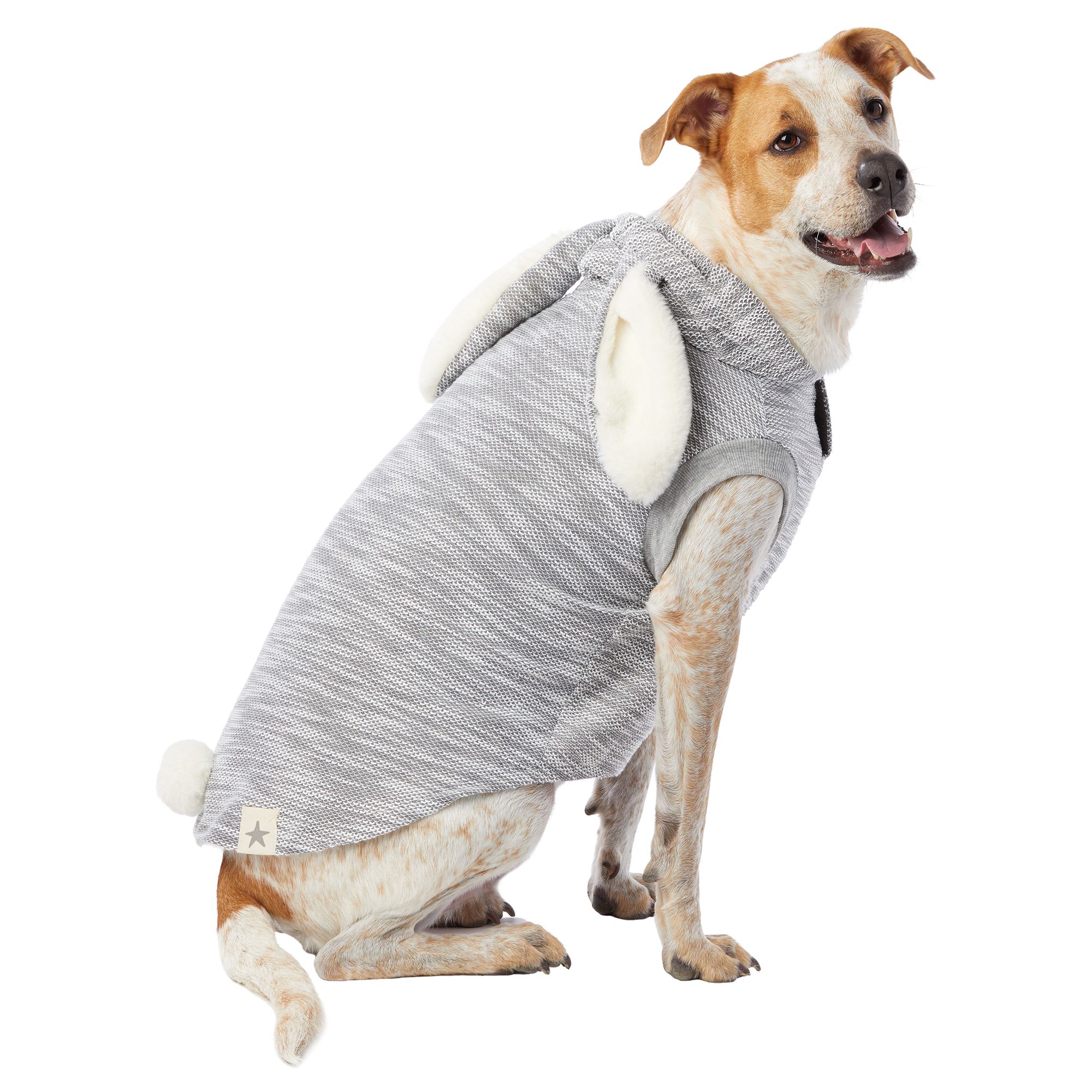 pet sweatshirt