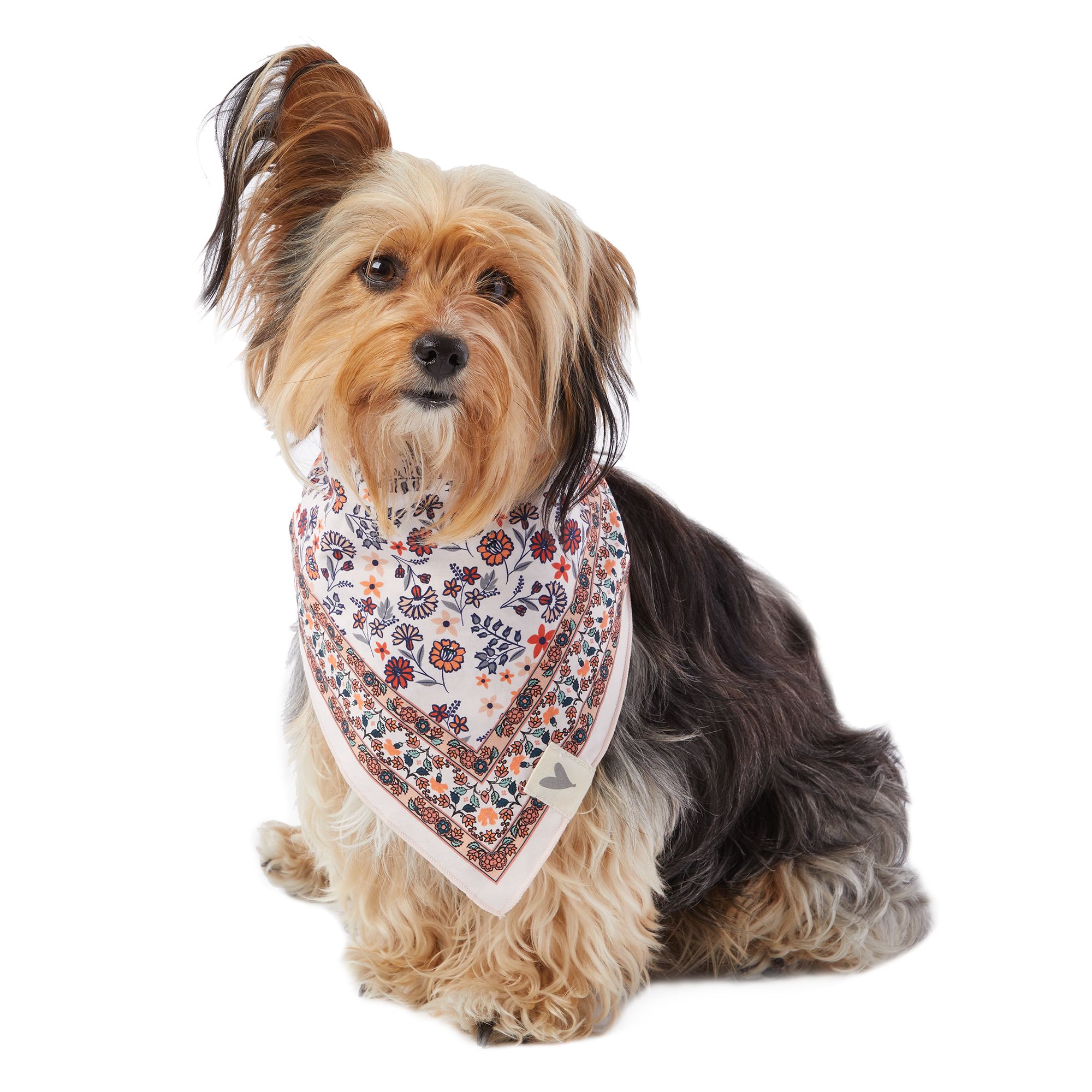 pet bandanas canada