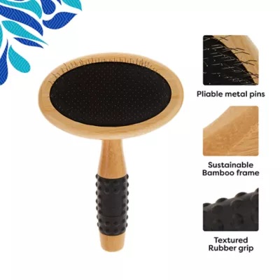 Petsmart dog brush best sale