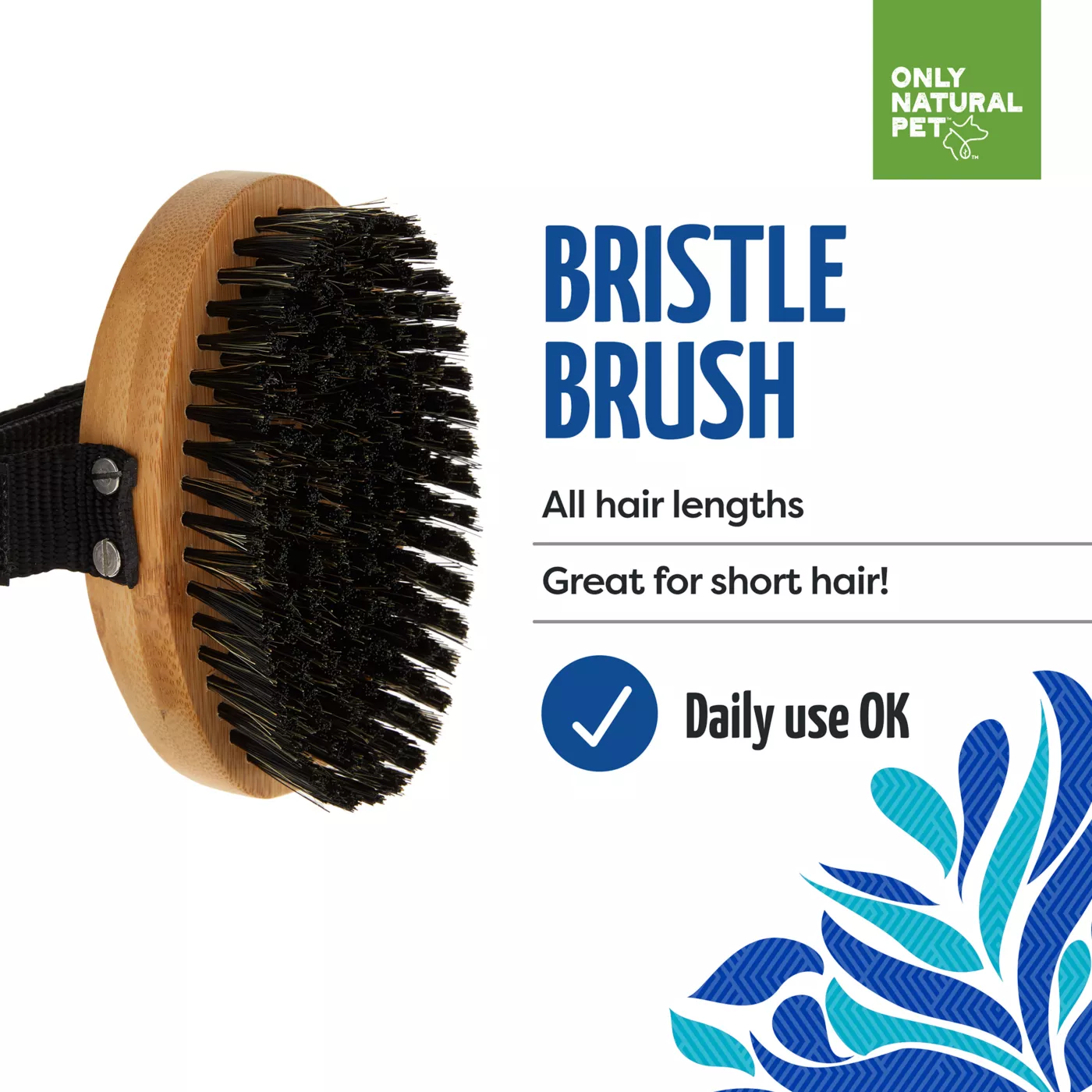 Dog bath brush petsmart best sale