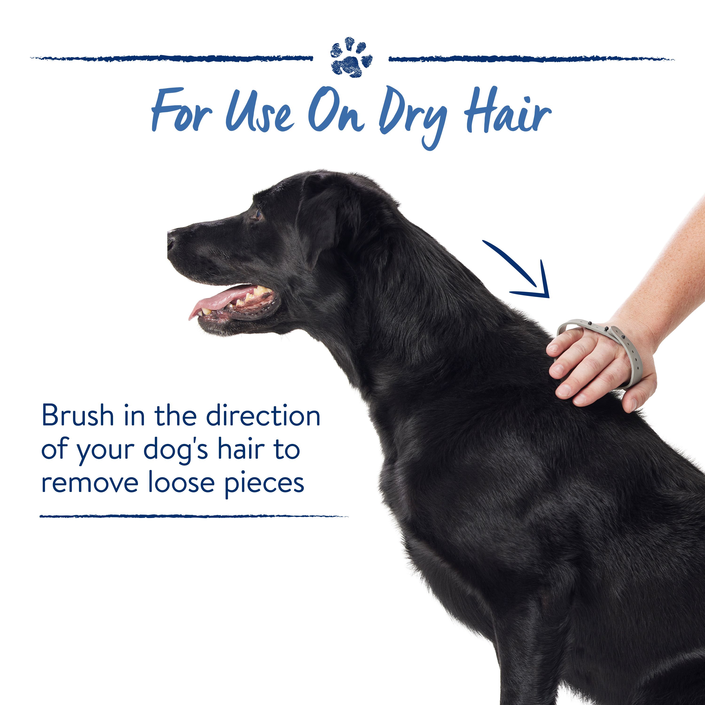 rubber curry brush petsmart