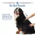 Top Paw® Metal Pet Comb image thumbnail 4