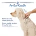 Top Paw® Metal Pet Comb image thumbnail 5