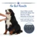 Top Paw® Shedding Pet Rake image thumbnail 4