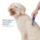 Product Top Paw® Medium to Long Hair Dematting Pet Rake