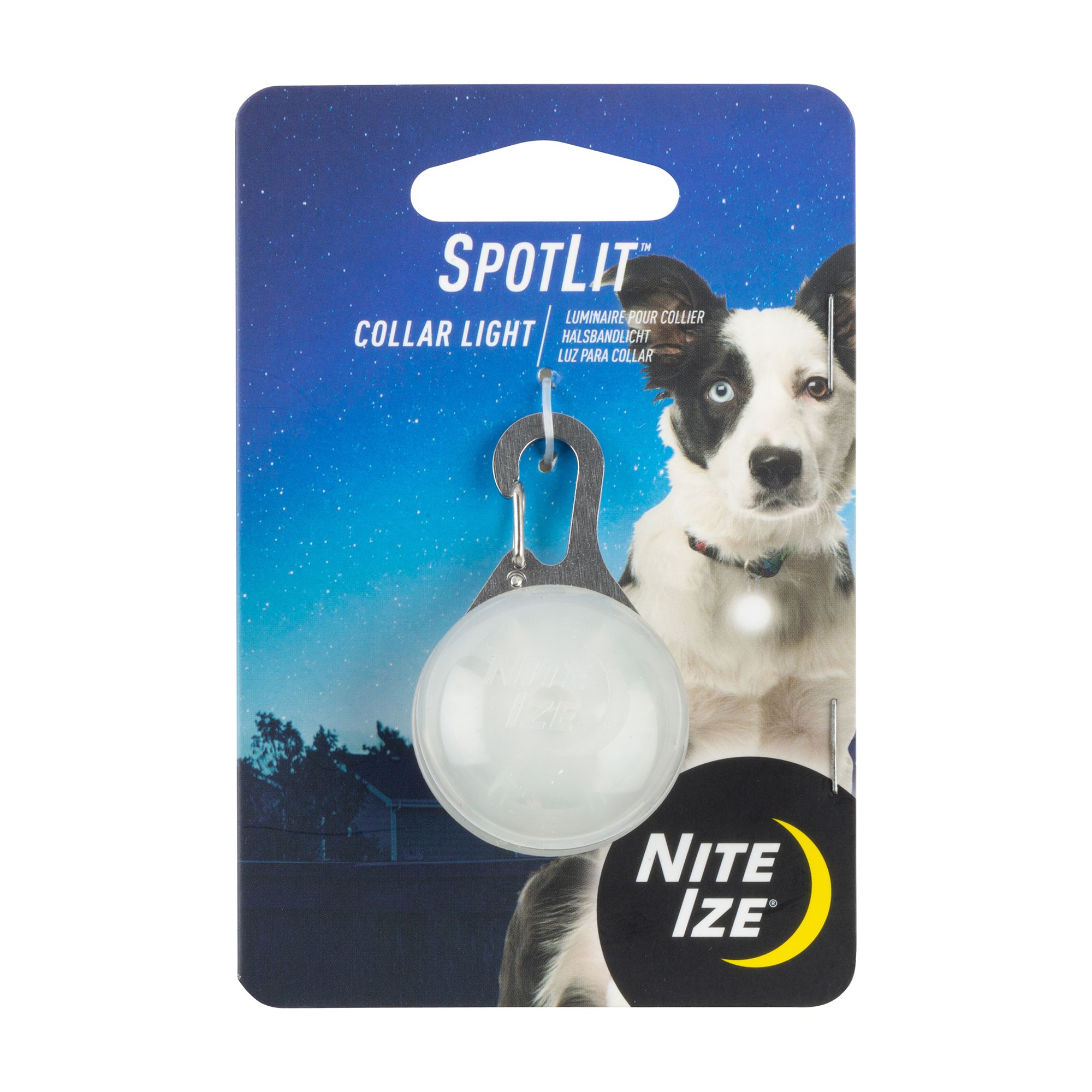 Light up outlet dog collar petsmart